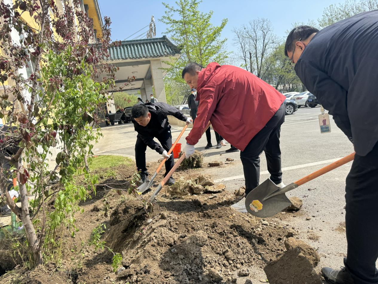 植樹造林添新綠，共創(chuàng)秀美鋼都景